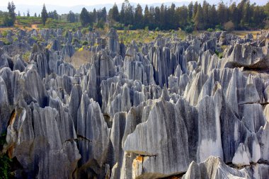 shilin taş orman Kunming, yunnan Eyaleti, Çin