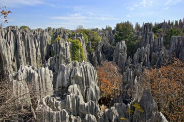 shilin taş orman Kunming, yunnan Eyaleti, Çin