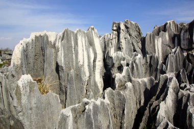 shilin taş orman Kunming, yunnan Eyaleti, Çin