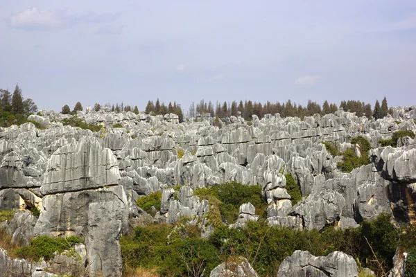 Forêt de pierre de Shilin à Kunming, province du Yunnan, Chine — Photo