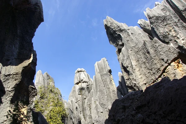 Shilin kamenný Les v kunming, Jün-nan, Čína — Stock fotografie