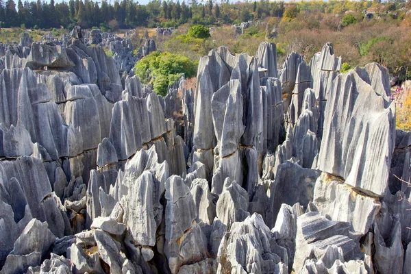 Forêt de pierre de Shilin à Kunming, province du Yunnan, Chine — Photo