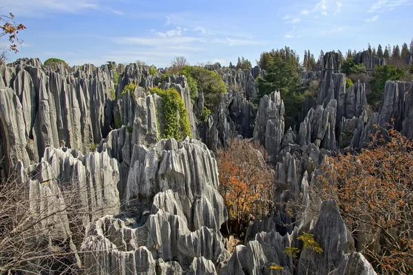 Bosque de piedra Shilin en Kunming, provincia de Yunnan, China —  Fotos de Stock