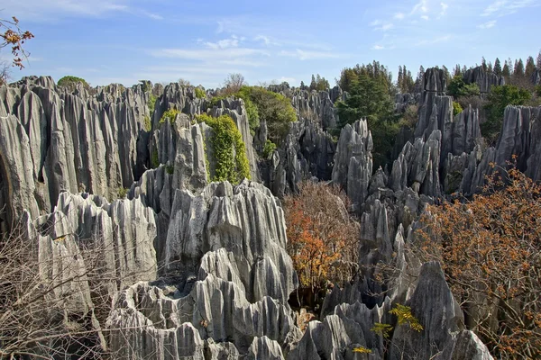 Shilin Stone Forest in Kunming, Yunnan province, China — Stock Photo, Image