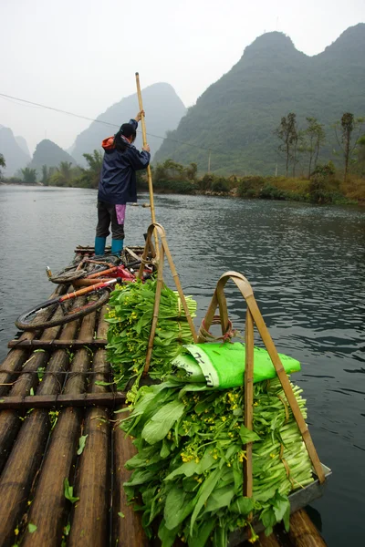 Paisaje del río Yu Long en Yangshuo, Guilin, provincia de Guanxi, China — Foto de Stock