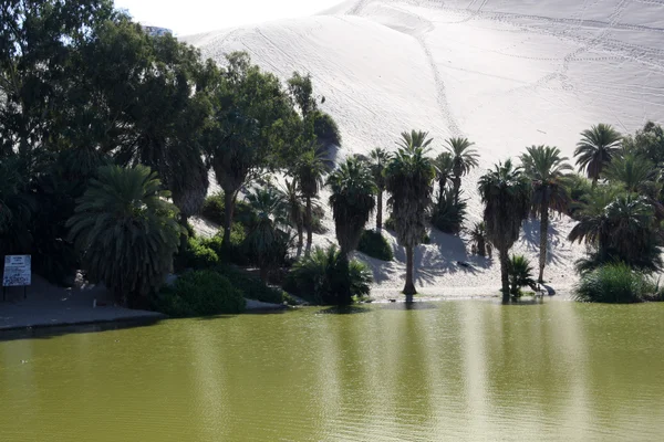 Oasis de Huacachina en el desierto de Atacama, Perú — Foto de Stock