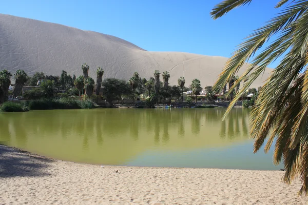 Oasi di Huacachina nel deserto di Atacama, Perù — Foto Stock