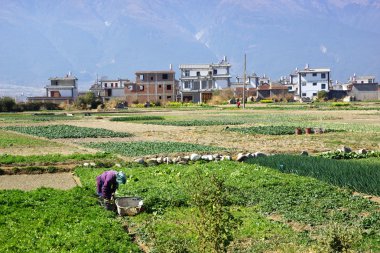 kırsal manzara etrafında erhai Gölü ve dali, yunnan Eyaleti, Çin