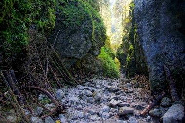 Cracow gorge Polonya tatras dağlarda