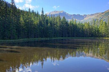 smreczynski göl koscieliska Valley, Polonya tatras Dağları üzerinde yansıma
