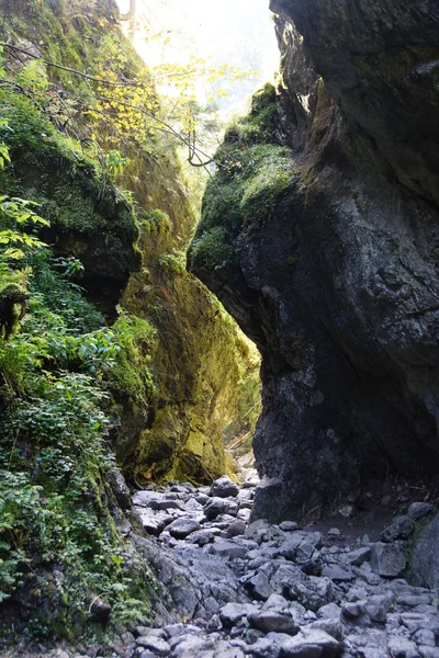 Barranco de Cracovia en las montañas Tatras, Polonia —  Fotos de Stock