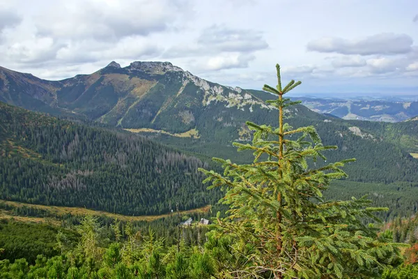 Giewont, paisagem od Tatras Montanha na Polônia — Fotografia de Stock