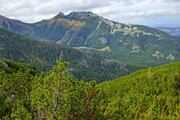 Giewont, landscape od Tatras Mountain in Poland — Stock Photo, Image