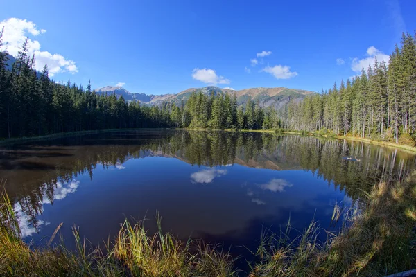 Reflectie op smreczynski meer in koscieliska vallei, Tatra gebergte in Polen — Stockfoto