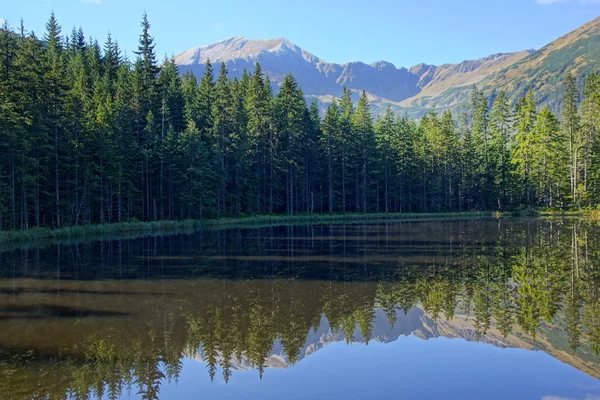 Reflexão sobre o lago Smreczynski no Vale do Koscieliska, Montanhas Tatras na Polônia — Fotografia de Stock