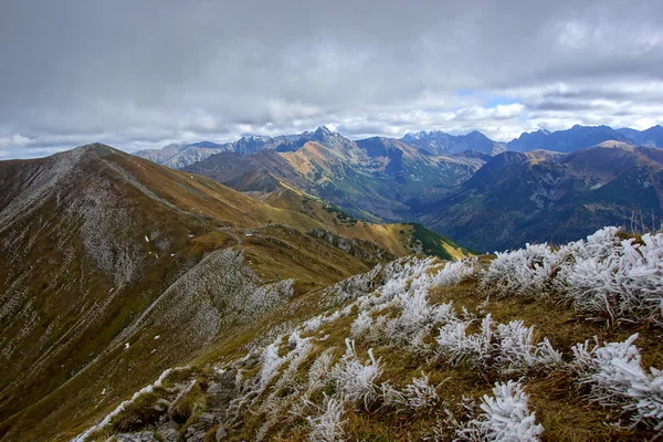 Ed bergtoppen, tatra gebergte in Polen — Stockfoto