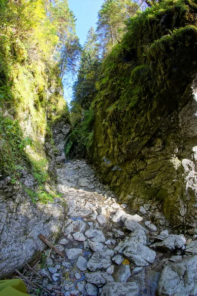 Ущелье Краков в горах Татр, Польша Стоковая Картинка