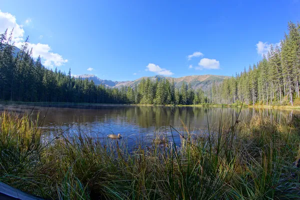 Reflexão sobre o lago Smreczynski no Vale do Koscieliska, Montanhas Tatras na Polônia Imagens De Bancos De Imagens Sem Royalties