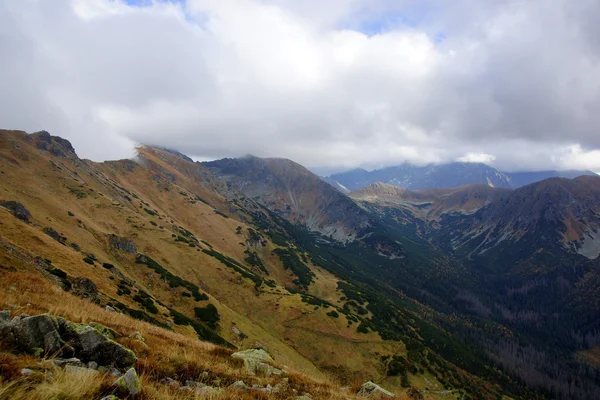 在波兰的塔特拉山的风景 图库照片