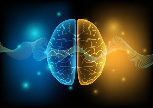 Illustration Cerveau Humain Des Ondes Cérébrales Sur Fond Technologie — Image vectorielle