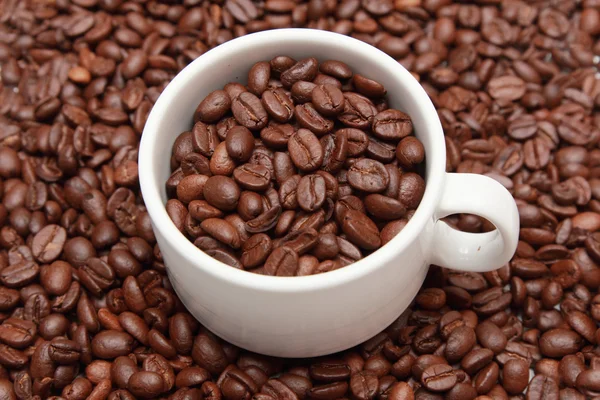 Xícara isolada de café com grão de café dentro — Fotografia de Stock