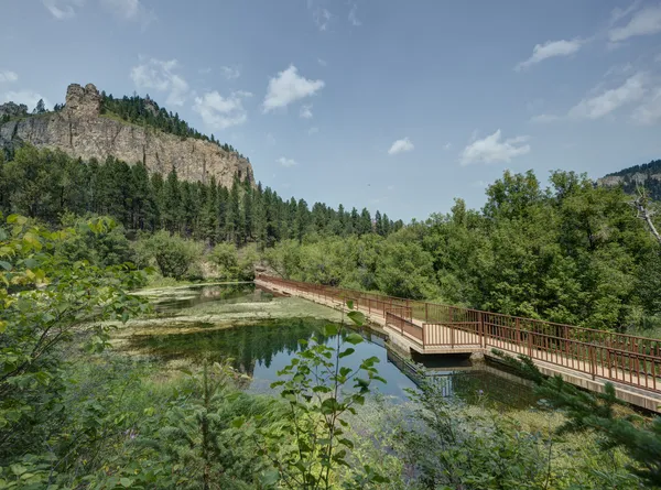 Black Hills nel Dakota del Sud — Foto Stock