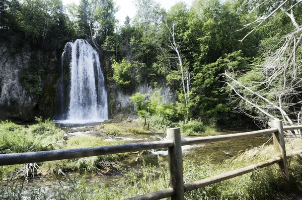 布莱克山中的瀑布 — 图库照片
