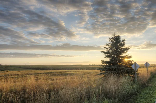 Zonsopgang in iowa — Stockfoto