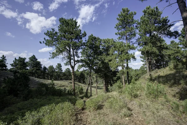 Wyoming paisagem — Fotografia de Stock