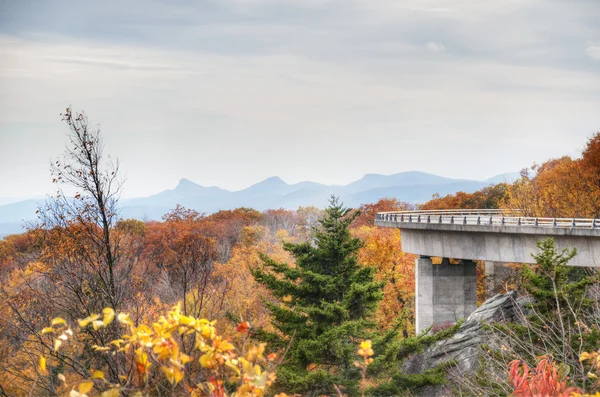 Kuzey Carolina 'da Sonbahar — Stok fotoğraf