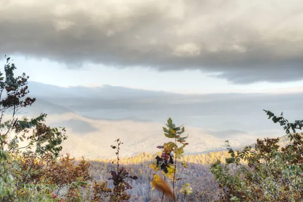 Fall i North Carolina — Stockfoto