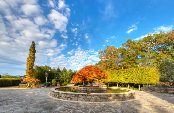 Arborétum, Észak-Karolinában — Stock Fotó