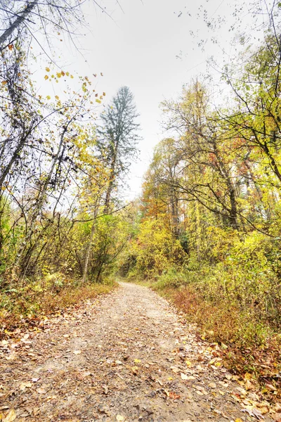 Fall in North Carolina — Stock Photo, Image