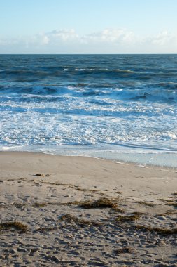 sebastian, florida plaj
