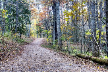 doğa iz north Carolina