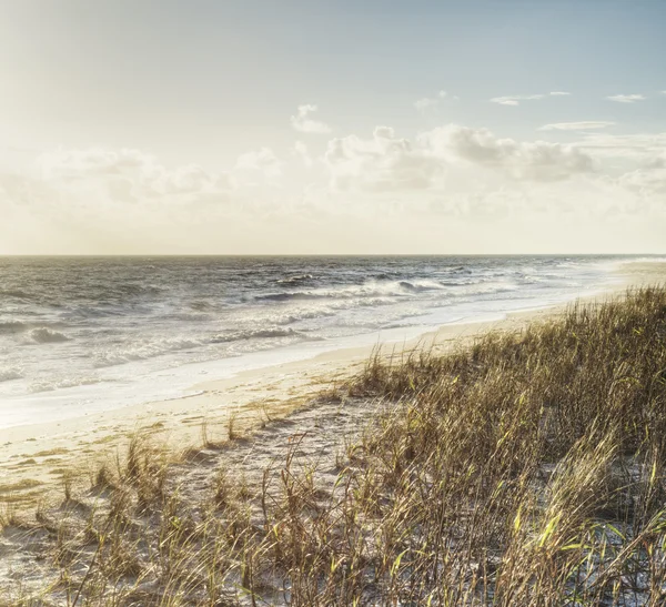 Lever de soleil en Floride — Photo