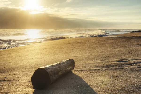 Canaveral National Seashore — Stockfoto