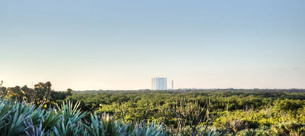 Canaveral National Seashore — Stock Photo, Image