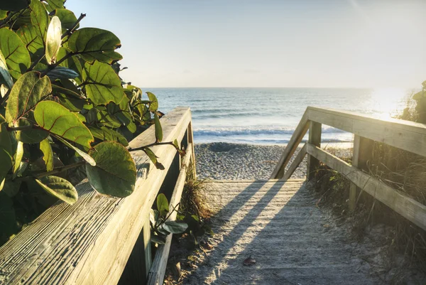 Satellit beach — Stockfoto