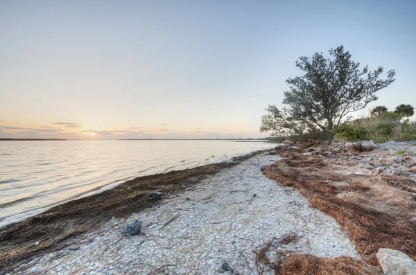 Soluppgång i merritt island national wildlife refuge — Stockfoto