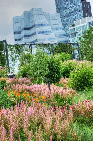 Baharda Park Chicago grant. — Stok fotoğraf