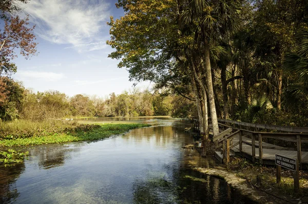 Wekiva Springs in Florida — Stock Photo, Image
