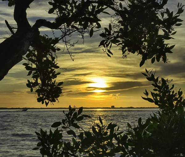 Salida del sol en la isla Sanibel — Foto de Stock