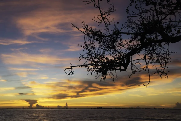 Lever de soleil sur l'île Sanibel — Photo