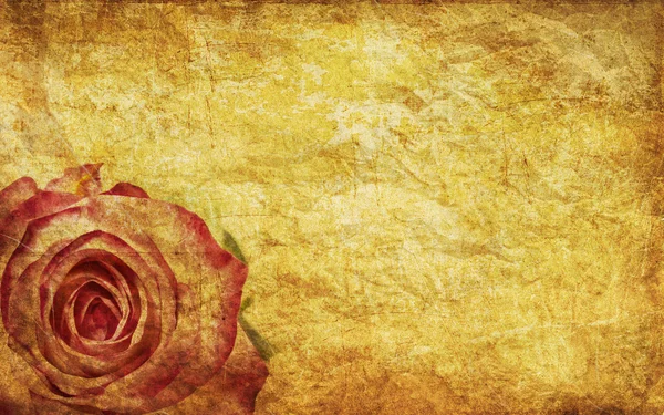 Textured rose — Stock Photo, Image