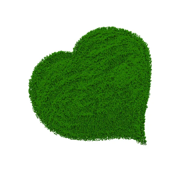 Grass heart — Stock Photo, Image