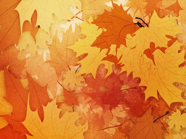 Maple leaves background — Stock Photo, Image