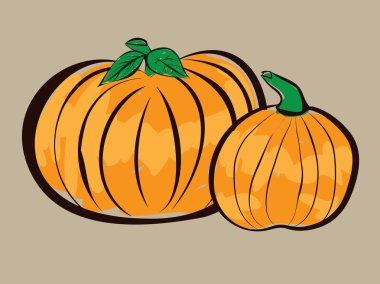 iki balkabağı illüstrasyon