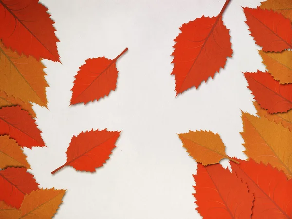 Red leaves frame — Stock Photo, Image