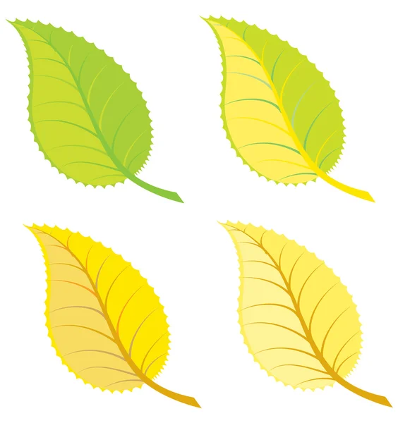 Illustration de feuilles colorées — Image vectorielle